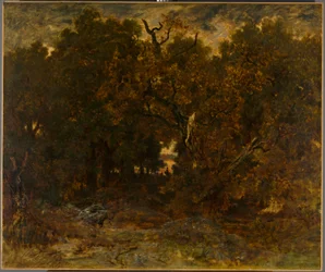 Saliendo del bosque, Fontainebleau: Sol poniente