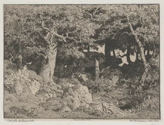 Robles y rocas