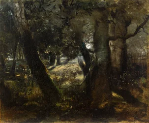 Faisanes en el Bosque de Compiègne