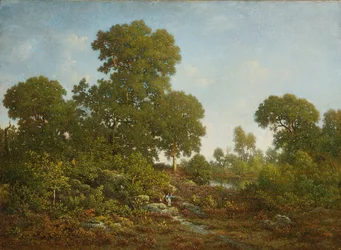 Primavera