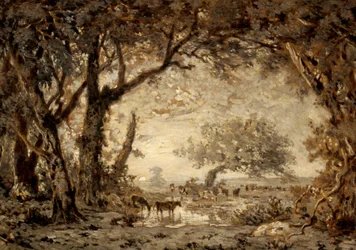 Atardecer desde el bosque de Fontainebleau