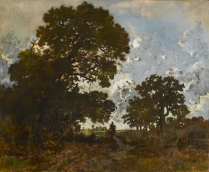 El haya en el bosque de L