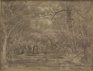 El interior de un bosque