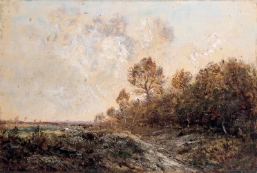 El borde de un bosque
