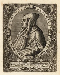 Albertus Magnus, obispo católico alemán