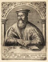 Conrad Gessner, médico suizo