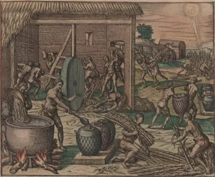 Los esclavos procesan caña de azúcar y producen azúcar, 1595.