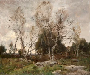 Paisaje