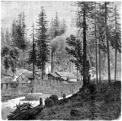 Aserradero, California, siglo XIX