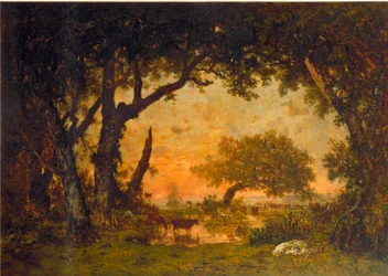 Salida del bosque en Fontainebleau, atardecer