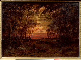 Atardecer en el bosque