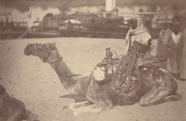 [Un norteafricano en camello a orillas del Nilo].