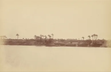 Orillas del Nilo con Palmeras y Barcos