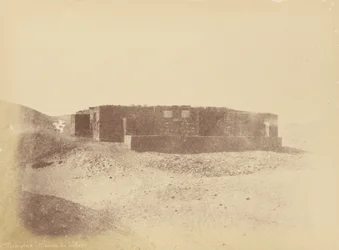 Memphis, casa del desierto