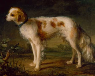 Un Spaniel en un Paisaje