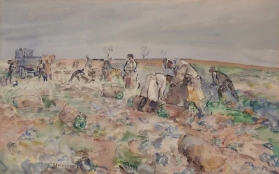 En el campo de patatas