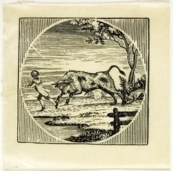 Ilustración de libro