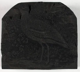 Bloque de madera para El gran chorlito, de Una historia de las aves británicas