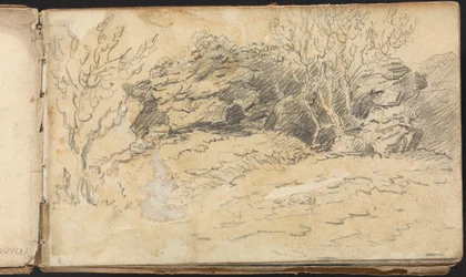 Álbum de estudios de paisajes y figuras: Bosquejo de árboles y rocas
