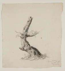 Tronco de árbol nudoso con ramas frondosas