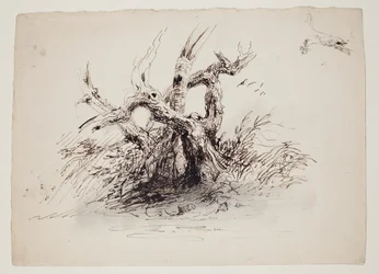 Gnarled Tree Trunks, c.1826 (pluma y tinta sobre grafito sobre papel)