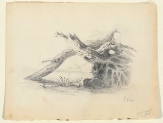 Bosquejo de dos árboles muertos