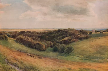 Parque de Arundel, 1874