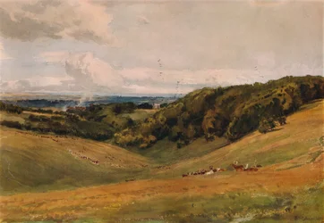 Parque de Arundel, con ciervos, 1880