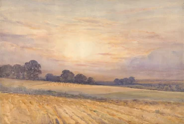 Paisaje al atardecer