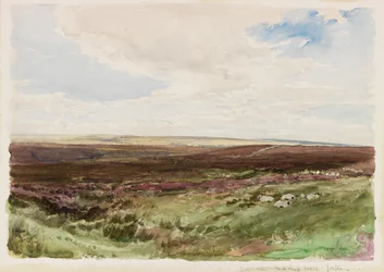 Páramo cerca de Hart Leap Well, Yorkshire