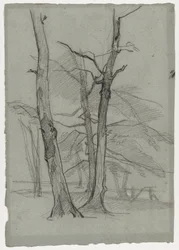 Estudio de paisaje con árboles, c. 1870-1875