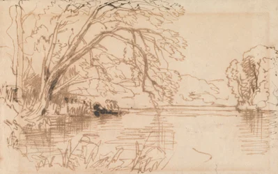 Un árbol sobre un río
