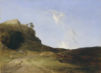 Paisaje de páramo