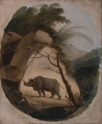El rinoceronte indio