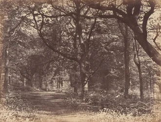 Escena de bosque, Norton, Cheshire, 1856