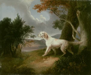 Paisaje con perro