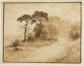 Paisaje con camino sinuoso