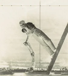 Hombre en una escalera con la pierna disecada de un caballo, 1880s
