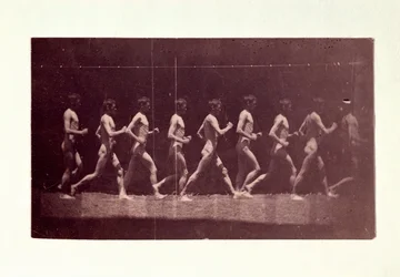 Fotografías de la Rueda de Marey de George Reynolds, 1884