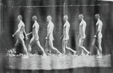 Fotografías de la rueda de Marey de Jesse Godley, 1884
