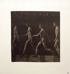 Fotografías de la rueda de Marey de modelo no identificado, c. 1884