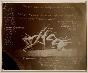 Fotografías de la Rueda de Marey de Modelo No Identificado, con Notas de Eadweard Muybridge, 1884