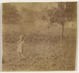 [Retrato de un niño]