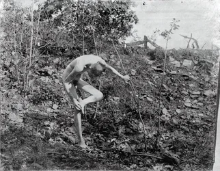 El sacador de espinas, c. 1883