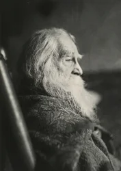 Walt Whitman en Camden, N.J., c. 1891