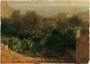 paisaje del sur con cactus