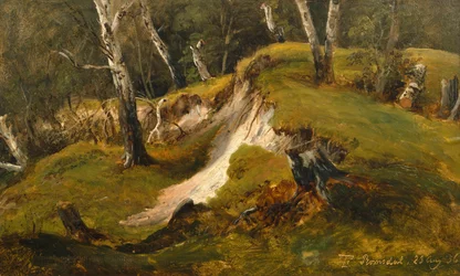 Poblaciones de Birck en Romsdal