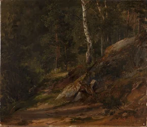 Estudio de bosque de Romsdal