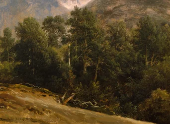 Bosque en Romsdal