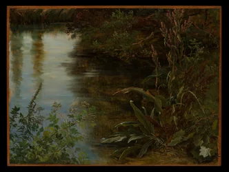 Estudio de agua y plantas